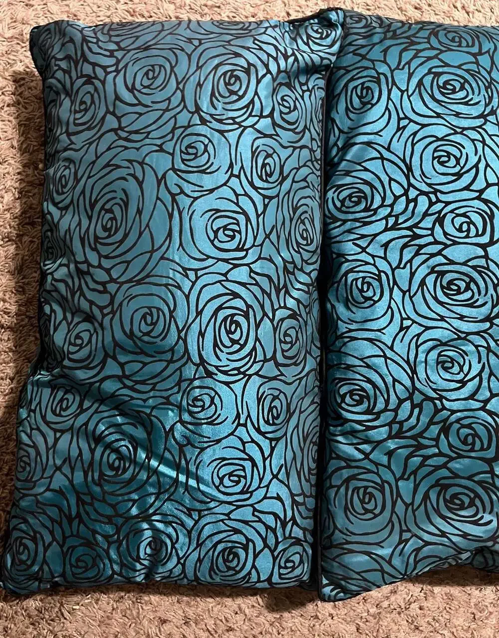 Set of 2 Decorative Teal and Black Rose Print Throw Pillows